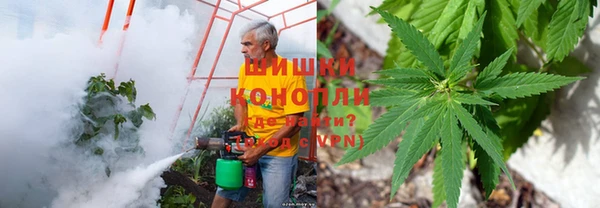 spice Богданович