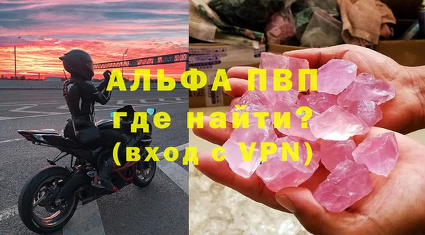 spice Богданович