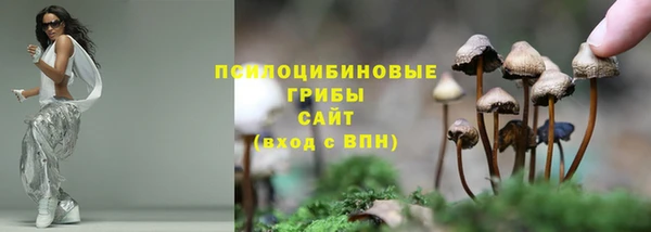 spice Богданович