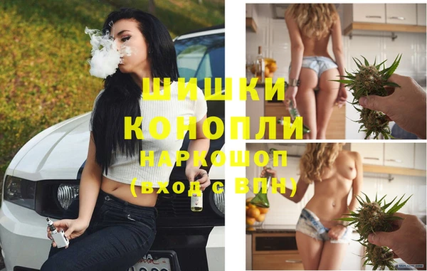 spice Богданович