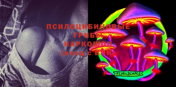 ПСИЛОЦИБИНОВЫЕ ГРИБЫ Богородицк