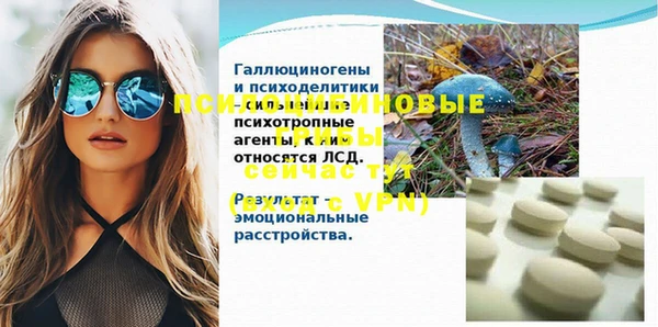 мяу мяу мука Нязепетровск
