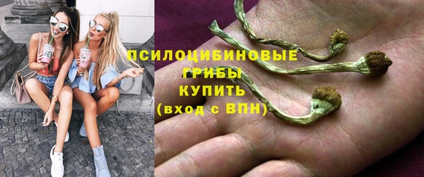 spice Богданович