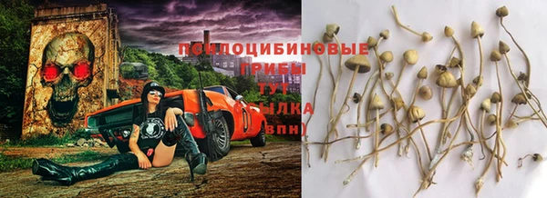 соль курить ск Богородск