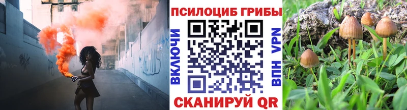 купить закладку  Северская  Псилоцибиновые грибы ЛСД 